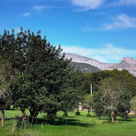 Finca Son Jordà Hébergement de vacances Campanet
